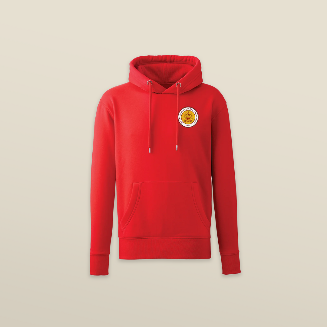 Sudadera con capucha premium Bath Spa